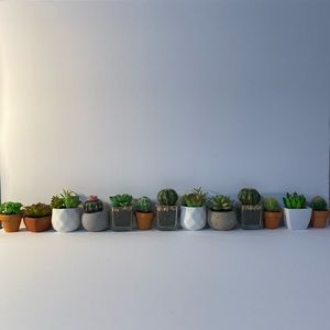 Mini Faux Cactus Collection